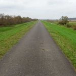 Radweg auf dem Oderdeich